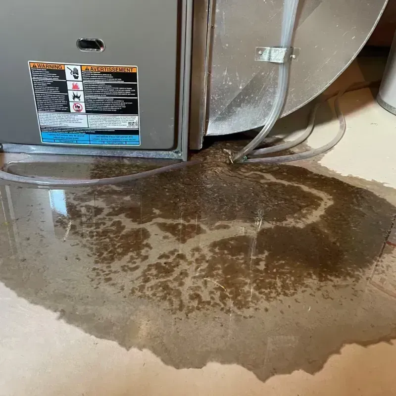 Appliance Leak Cleanup in Gallatin County, KY